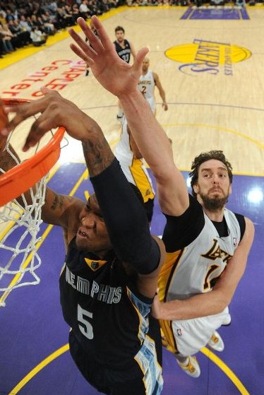 未来展望 未来展望