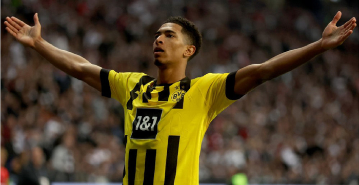 球队内部的 球队内部的